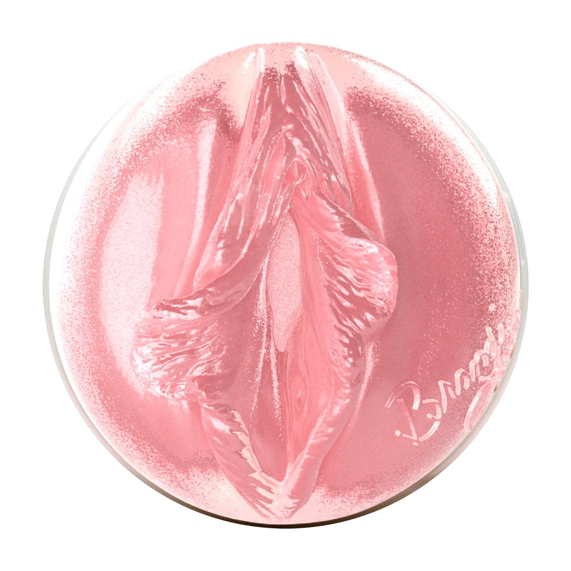 Brandi Love Birthday Cake Edition Fleshlight Exclusive Bi - Hive (Lady) With Case Fleshlight