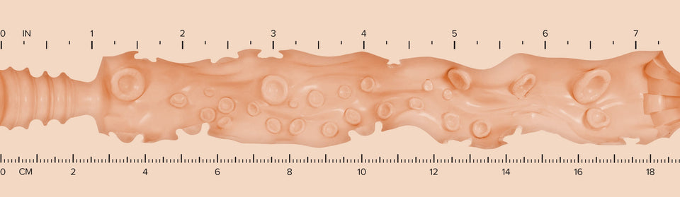 Lady_Texture-Ruler-H-BlakeBlos.jpg