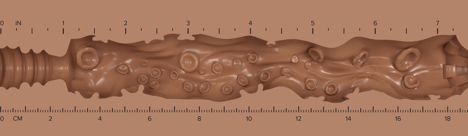 Lady_Texture-Ruler-H-LucyMochi.jpg